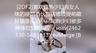 [2DF2]喜欢成熟少妇有女人味的硬朗小伙旅店嫖妓提前藏好摄像头娇小马尾辫少妇被多种体位狠狠操 2 - soav(2462330-5485333)_evMerge [BT种子]