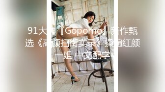 91大神『Goporno』新作甄选《高颜扫街实录》操遍红颜一姐 中文配字