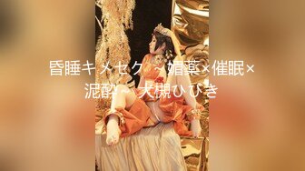 [2DF2]91风吟鸟唱流出精品大作-平面模特女神范范全集 2 - soav_evMerge [BT种子]