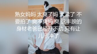    极品淫妻小母狗啪啪性爱私拍调教流出 黑丝制服小骚货镜前后入边操边录