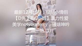 最新12月付费，极品小情侣【D先生和C小姐】暴力性爱美学notyourferry，骚婊呻吟声一绝 (1)