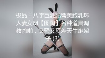 极品！八字巨乳肥臀美鲍乳环人妻女M【图图】各种道具调教啪啪，又骚又反差天生炮架子 (3)