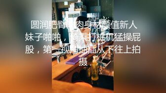  圆润肥臀肉肉身材颜值新人妹子啪啪，骑乘打桩机猛操屁股，第一视角抽插从下往上拍摄