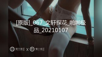 中文字幕 和女神级制服领导上司一起出差工作