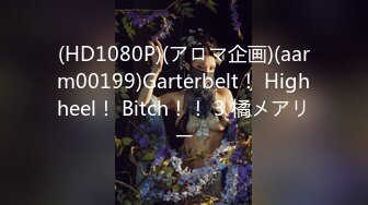 (HD1080P)(アロマ企画)(aarm00199)Garterbelt！ Highheel！ Bitch！！ 3 橘メアリー