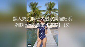 黑人秃头胖子内射欧美淫妇系列Digixxx合集【29V】 (3)