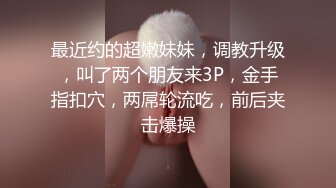 【良家约啪】大神【bigfan13yo】原版约啪人妻少妇视频 -1