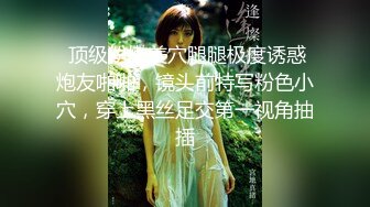 STP25107 最新超人气爆乳女神▌乐乐▌电梯紧急停止 终极隐藏版 再遇女神爆艹尤物 痴汉电车激情上演 VIP2209