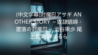 (中文字幕)狙われた人妻アナウンサー 恥辱の放送事故 徳島えり