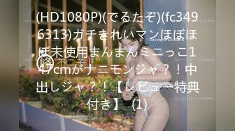 【兔子先生高清4K】潜入别墅的女调查员