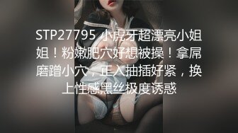 麻豆传媒 MDHG-0020 探询真理神秘女子 玥可岚 这个面试有点硬