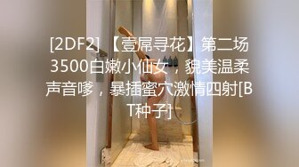 少妇啪啪，休息完再继续第二炮，口交舔弄抬起双腿侧入后入大屁股