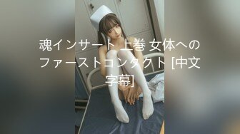 魂インサート 上巻 女体へのファーストコンタクト [中文字幕]