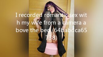 I recorded romantic sex with my wife from a camera above the bed (64babdca65738)