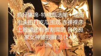 [survive] 圣女爱蜜莉亚 -被恶魔魅惑的少女- [中文字幕]