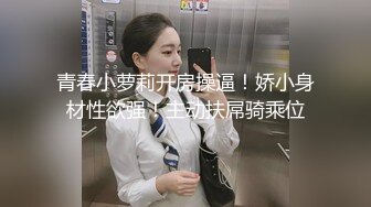 STP29230 极品美臀小姐姐！第一视角骑乘位！拨开内裤大屁股套弄，上上下下爽翻，特写大屌插嘴，娇喘呻吟不断 VIP0600