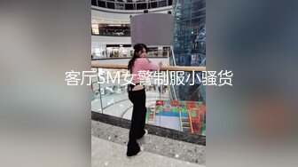 久久无码中文字幕无码