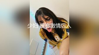 【AI换脸视频】李一桐  你的专属女仆