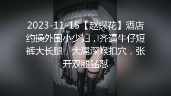 2023-11-15【赵探花】酒店约操外围小少妇，齐逼牛仔短裤大长腿，大屌深喉扣穴，张开双腿猛怼