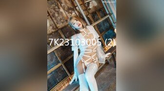 攝影大咖王動禦用極品網紅模特阿朱精品【制服女郎飛機上的羞澀行爲】水晶屌進出肥鮑陰洞大開