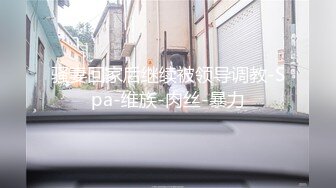 91系列哥私人定制,強玩黑絲高跟OL職業裝女上司 高清(VIP)